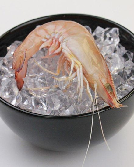 Australian Eastern King Prawn (Wild Caught)