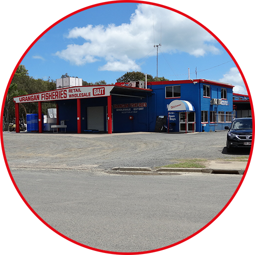 urangan fisheries building