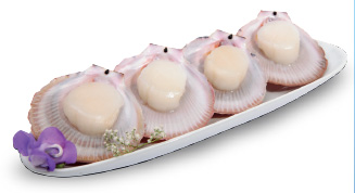 australian scallops on a tray