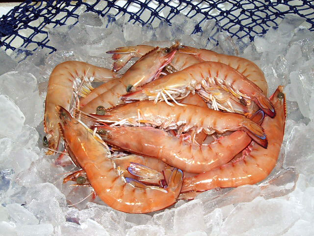 frozen whole raw prawns - wild caught