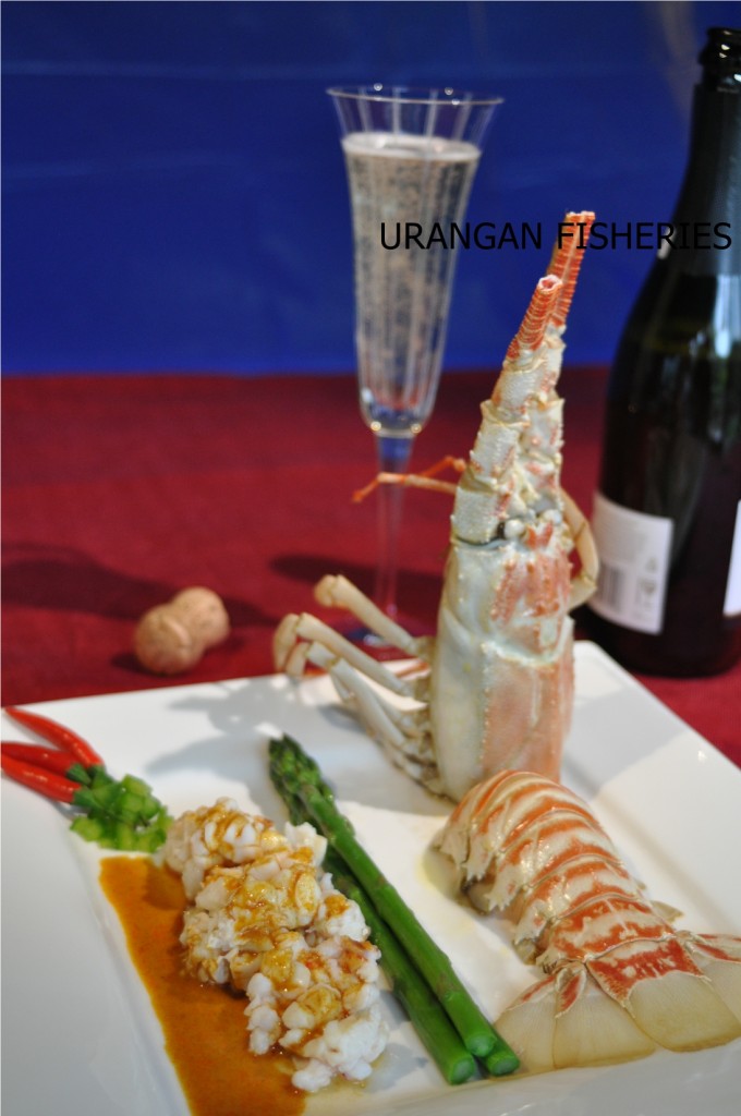 champagne lobster